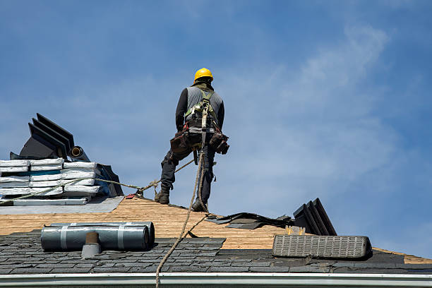 Professional Storm Damage Roof Repair technician working in Chillicothe, IA